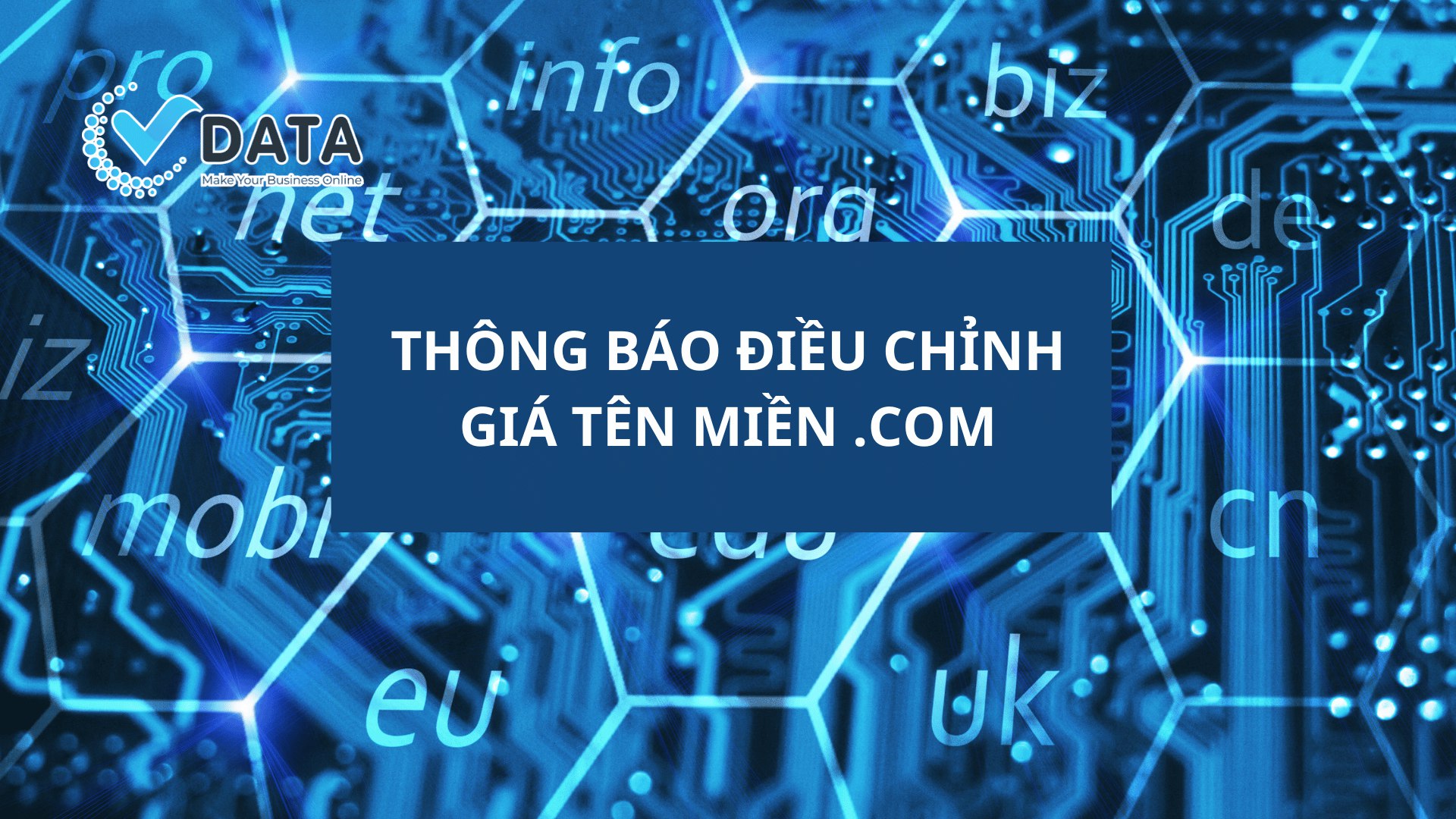 vdata-dieu-chinh-gia-ten-mien-com